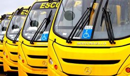 Curso de Transporte Escolar